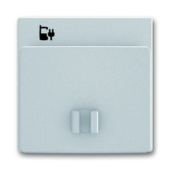 Лицевая панель ABB BJE блока питания micro USB сталь 2CKA006400A0031