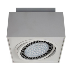 20074-WH Точечный светильник Zumaline Boxy cl 1